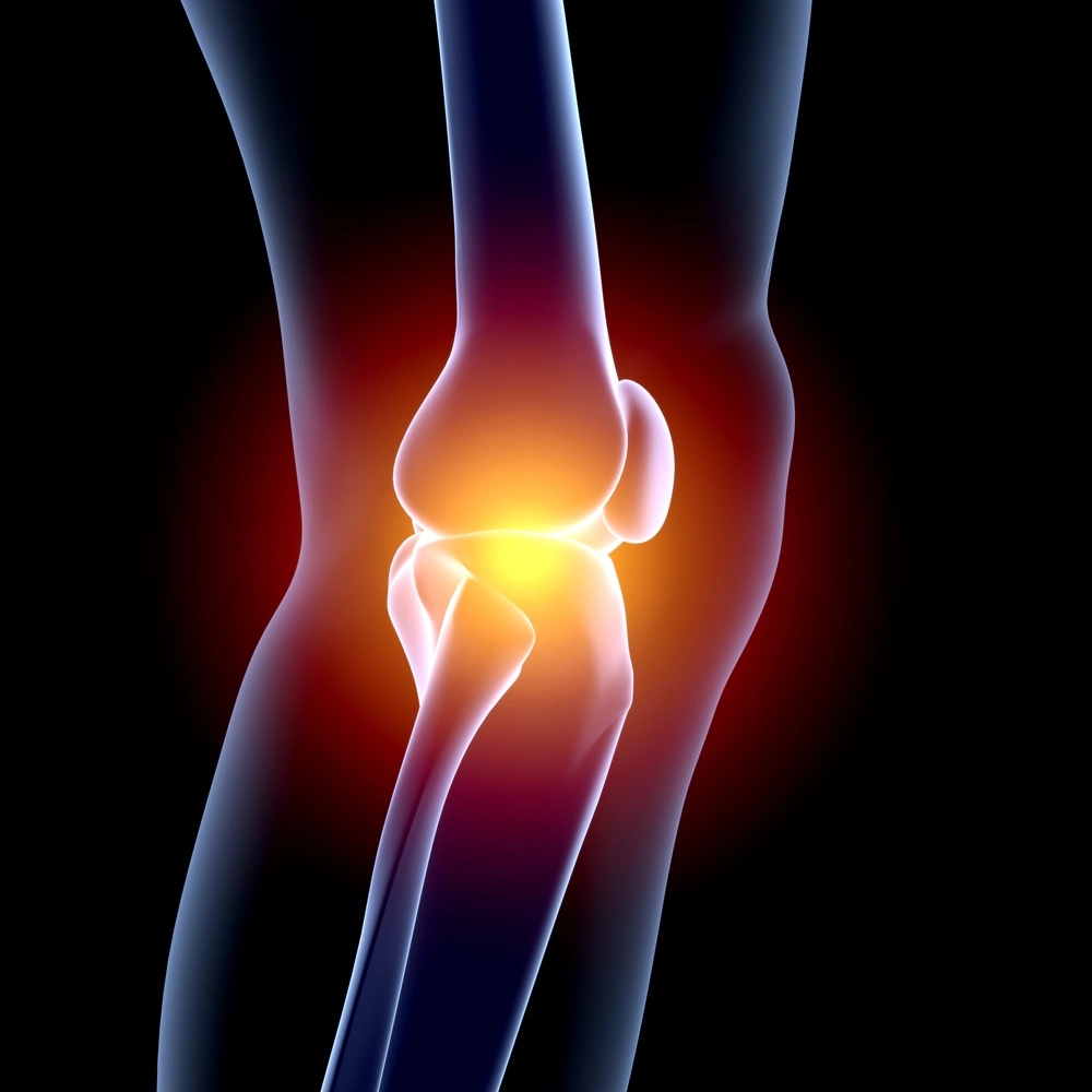 x ray diagram of knee joint